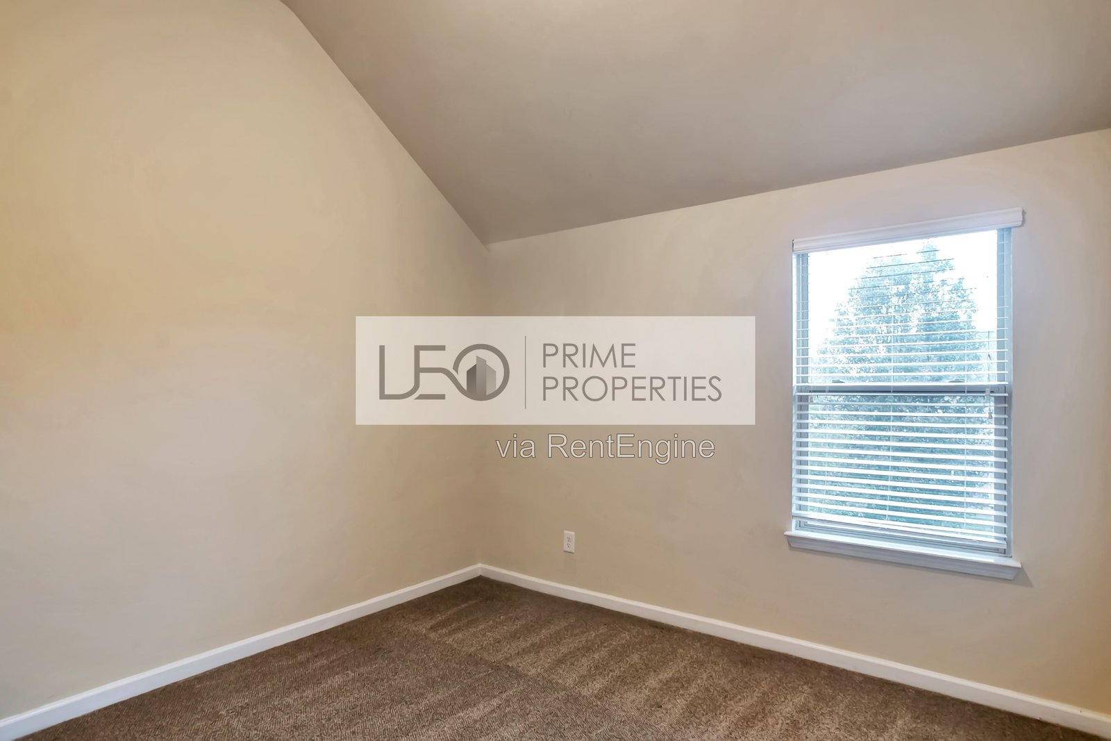 2513 Shropshire Place McDonough, GA 30253 property image